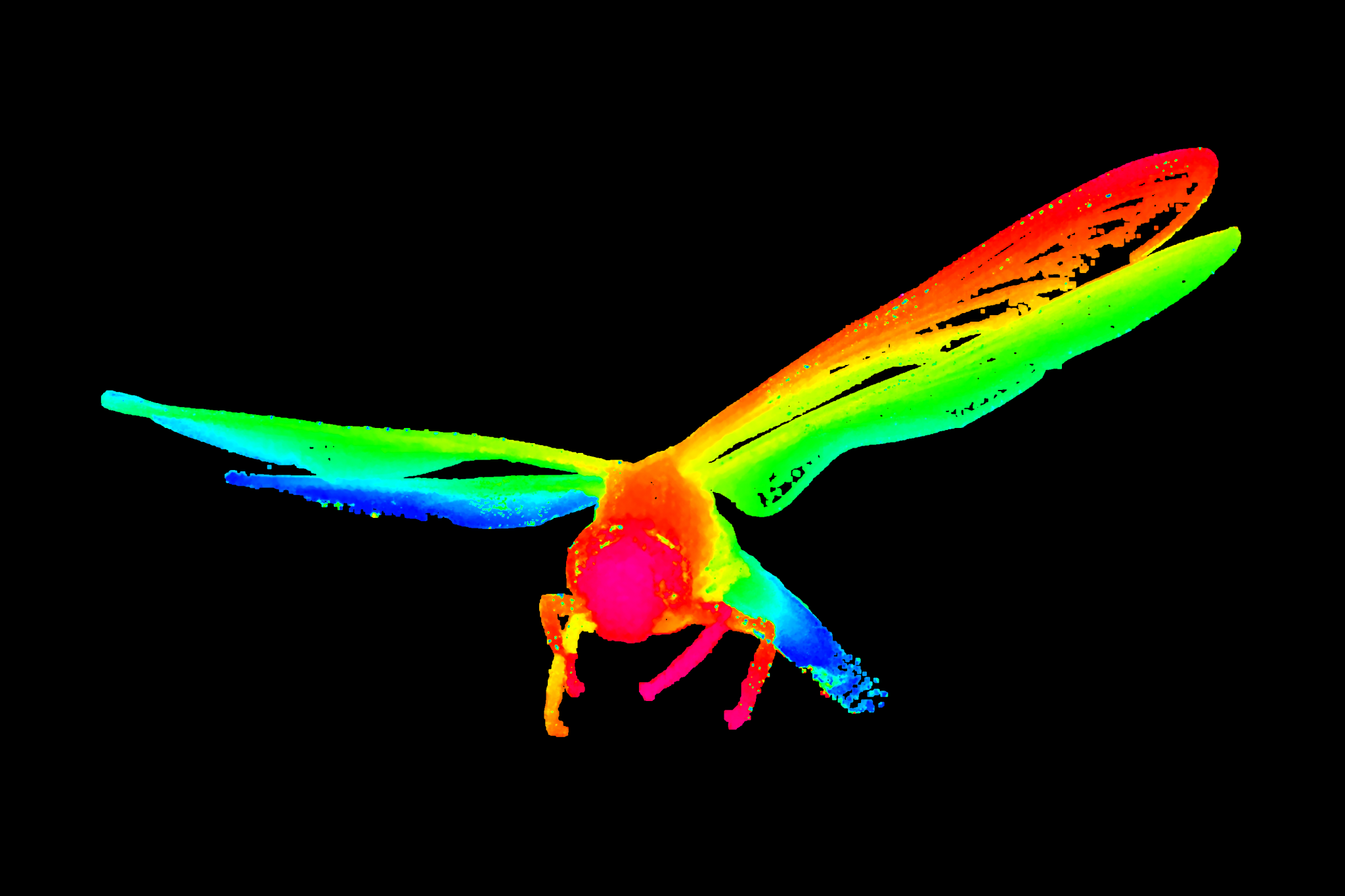 Dragon-fly Depth_Colored
